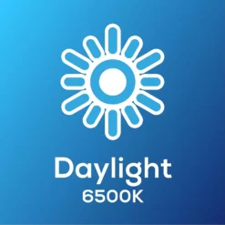 TCP LED Filament Mini Globe 4W E14 Light Bulb -Energizer Sales Store 12819562 2974963829477550