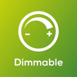 TCP Filament Globe Coat 40W SES Cool Dimmable Light Bulb 13 TCP Filament Globe Coat 40W SES Cool Dimmable Light Bulb -Energizer Sales Store 12824597 1655022111847182