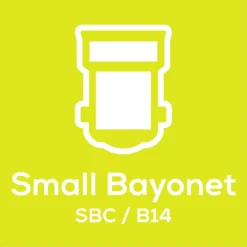 TCP LED Globe 40W SBC Warm Nd Light Bulb - 2 Pack -Energizer Sales Store 12826527 1465022112378812