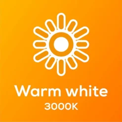 TCP LED Globe 40W SBC Warm Nd Light Bulb - 2 Pack -Energizer Sales Store 12826527 1705022112453560