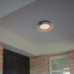 Lutec Rola LED Outdoor Bulkhead Light - Anthracite -Energizer Sales Store 12840746 2044952683020768