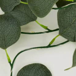 None Eucalyptus Battery String Lights -Energizer Sales Store 12842407 9004867915211463