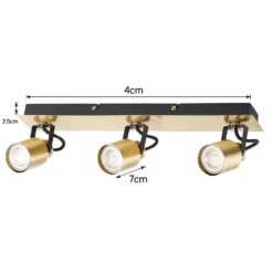 Lucy 3 Lamp Spotlight Plate - Gold & Black -Energizer Sales Store 12882221 1804843518979659