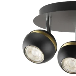 Austin 3 Lamp Spotlight Plate - Black & Gold -Energizer Sales Store 12882230 2044843520211471