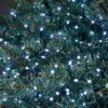 3000 LED Timer Compact String Christmas Tree Lights - Bright White -Energizer Sales Store 12967368 7785003463870138
