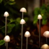 Elan Solar Mushroom Lights - Set Of 12 1 Elan Solar Mushroom Lights - Set Of 12 -Energizer Sales Store 13489396 1004978602247407