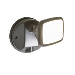 Lynn 1 Light Outdoor Wall Light (IP65) - Dark Grey -Energizer Sales Store 13924377 7054980108048096