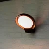 Lutec Polo LED Outdoor Wall Light - Anthracite -Energizer Sales Store 13950219 5014993071626283